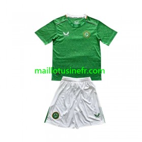 Maillot de Foot Irlande Domicile 2024 - Enfant